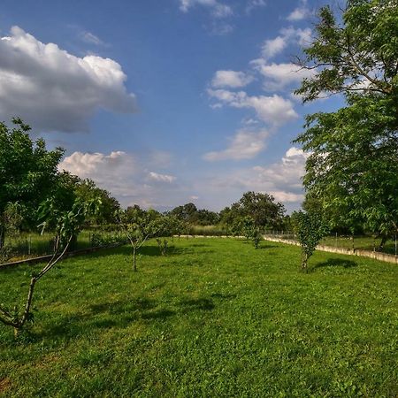 Ankin Dvor Villa Galovac  ภายนอก รูปภาพ
